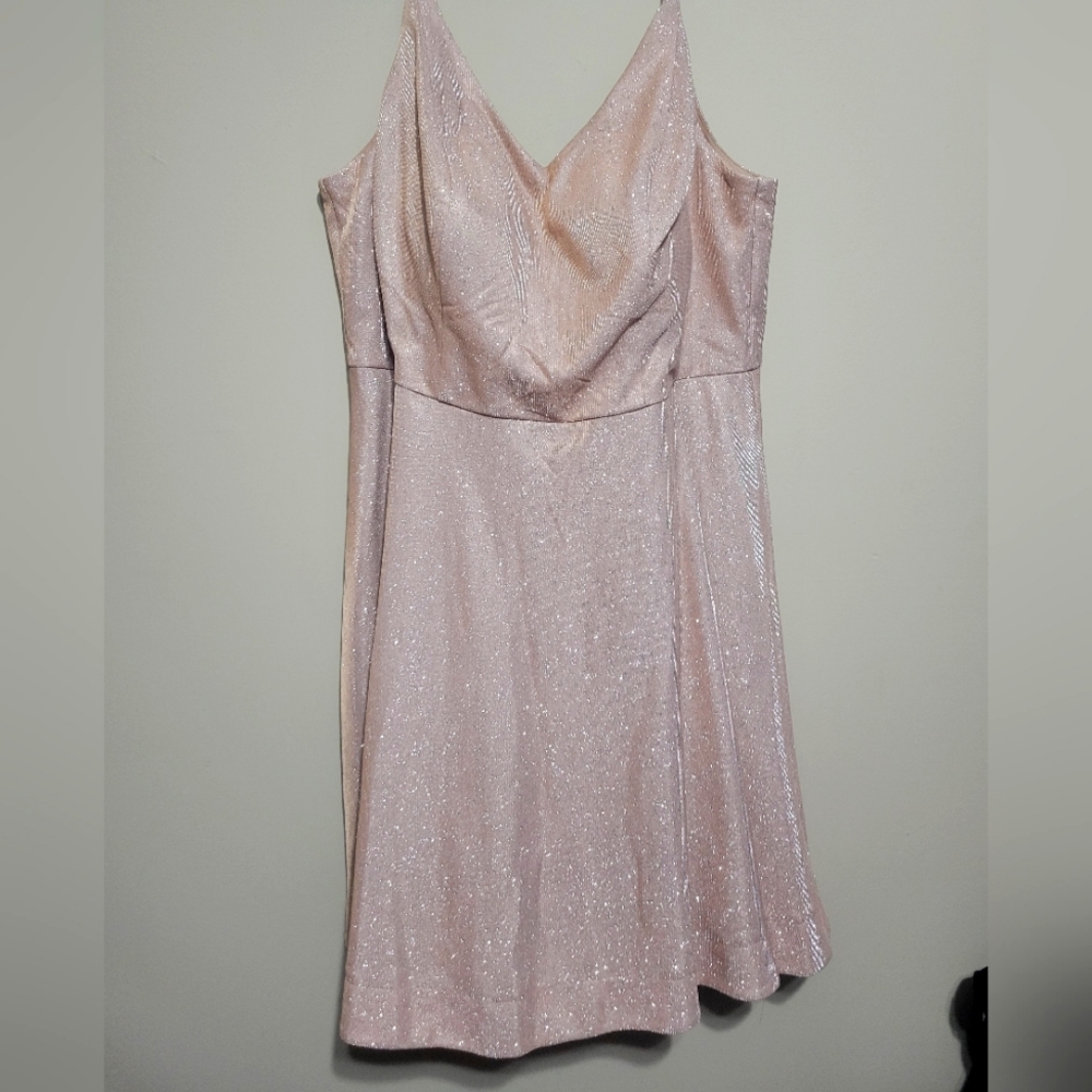 NWT SPARKLE champagne knee length dress size 18 With POCKETS!